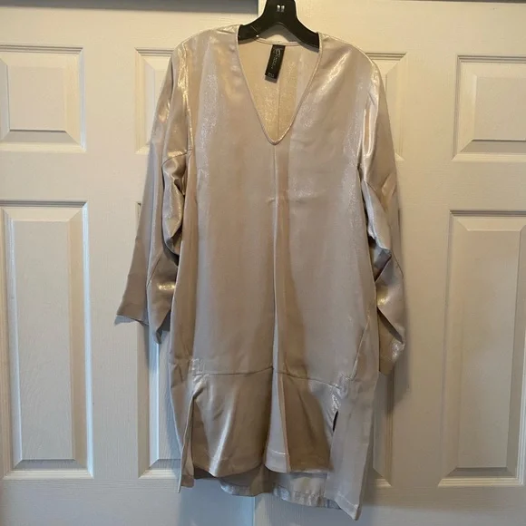 Silver dress - Picture 1 of 7